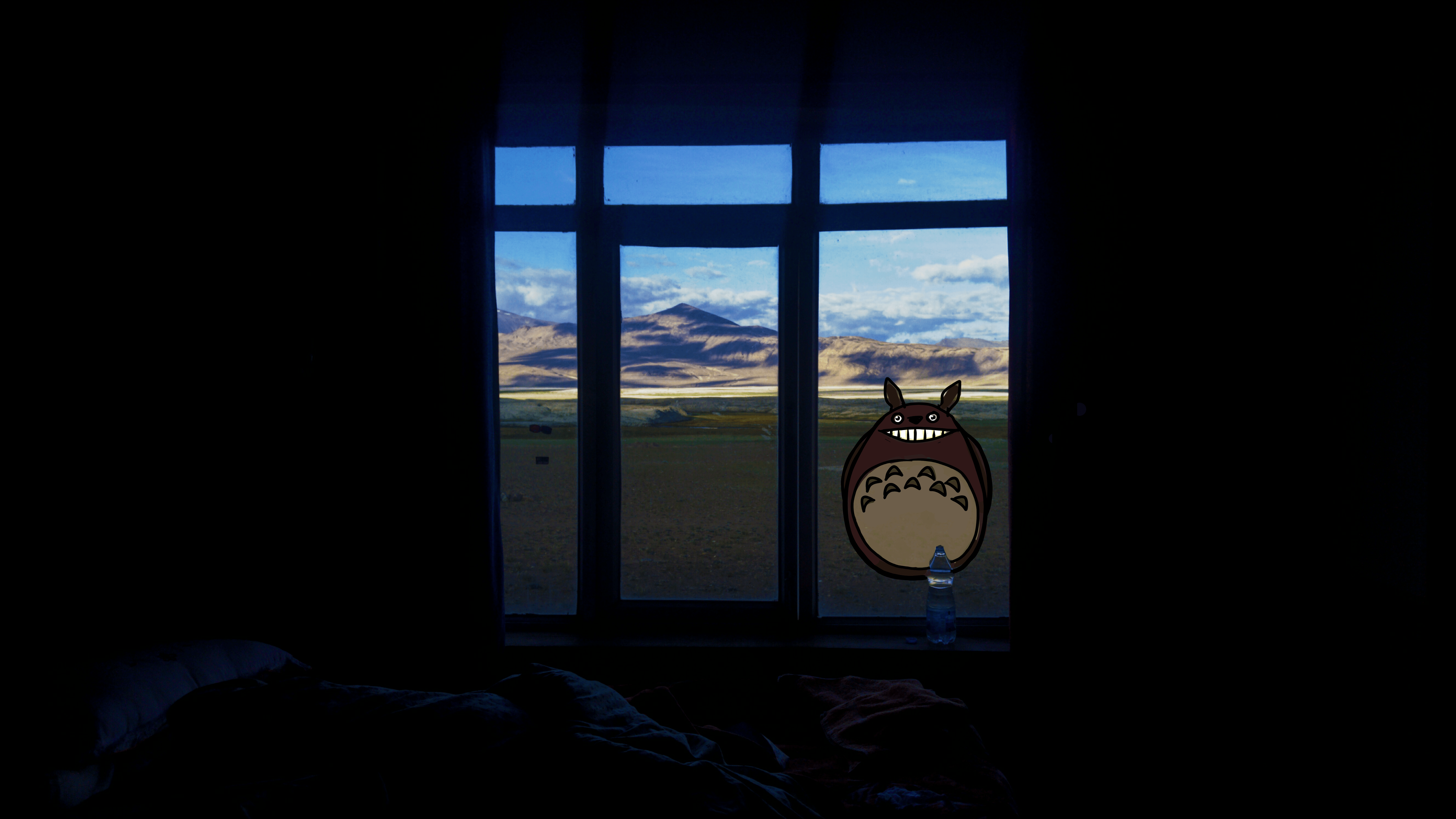 totoro ladakh