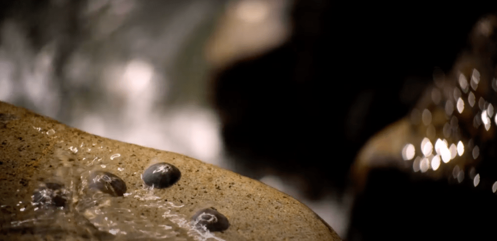 Water – an art&nbsp;video